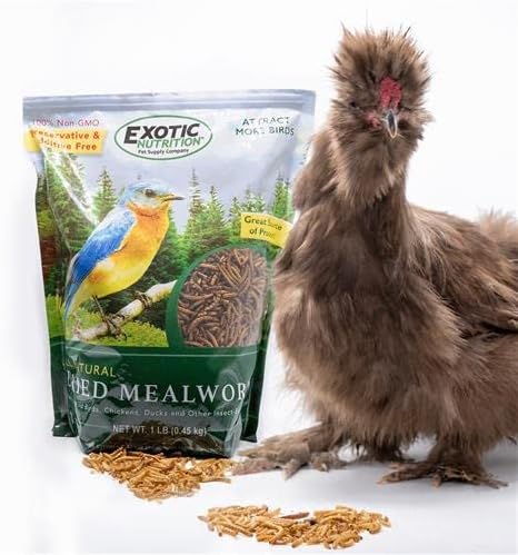 Dried Mealworms - 100% Natural, Non-GMO, High Protein, Bulk Insect Treat for Chicken, Laying Hen, Chick, Wild Bird, Bluebird, Duck, Goose, Turkey, Chickadee, Titmice, Wren, Reptile, Fish (1 lb.)