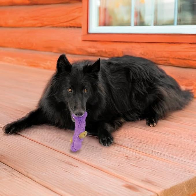 KONG Squeezz Flex Bone – Flexible Treat & Chew Holder for Dogs – Interactive Dog Toy for Fetch, Floating, & Travel – Holds Treats, Chews, & Bully Sticks (for Medium Sized Breeds)