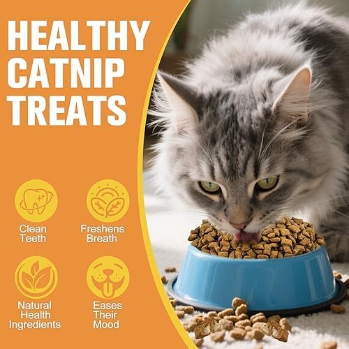 Soft & Crunchy Cat Treats with Real Salmon & Catnip, Dual Texture Cream-Filled Cat Snacks for Cats & Kittens, Training Rewards & Dental Support