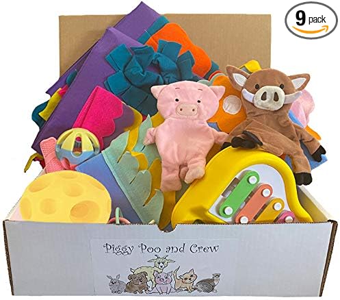 Pet Box Bundle: Assorted Toys for Dogs Pigs Rabbits Cats and Small Pets - Interactive Playtime Variety Pack with Treat Balls Snuffle Mats Games & Toys