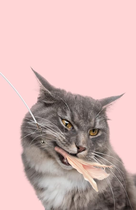 Pet Life ® 'Wander-Cat' 10-in-1 Customizeable Attachments and Dual Laser Cat Teaser Wand Chaser Interactive Cat Toy