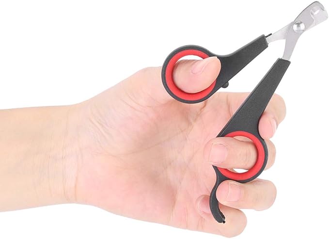 ciciglow Non Slip Bird Nail Clipper, Stainless Steel Pet Grooming Tool for Small Animals, Accessory for Bird Cage