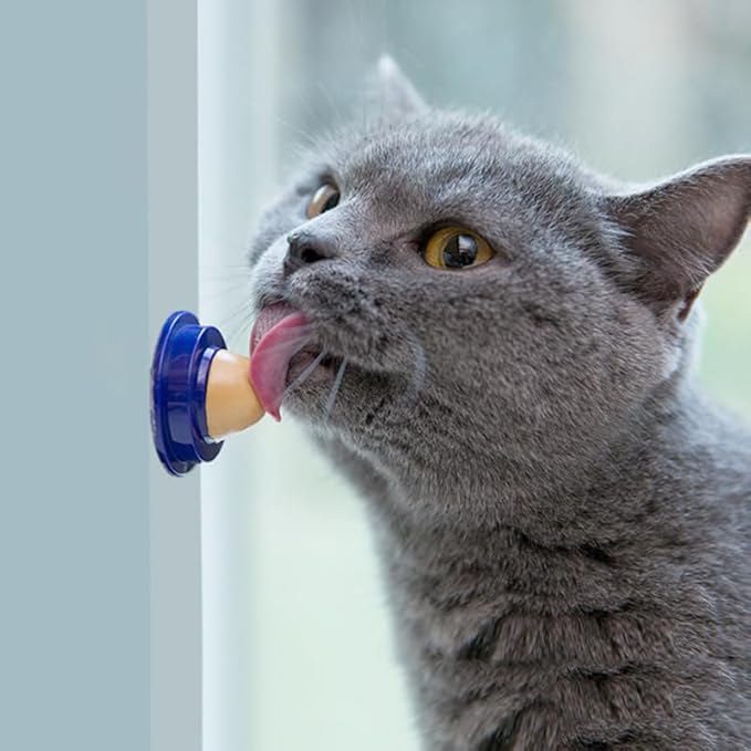 SUPVOX 6 Pcs Cat Candy Kitten Cat Biscuits Lickable Cat Treats Stick to Wall Candy for Treats Go Cat Dry Food Feline Treats Cat Sugar Treats for Cats Cat Wall Ball
