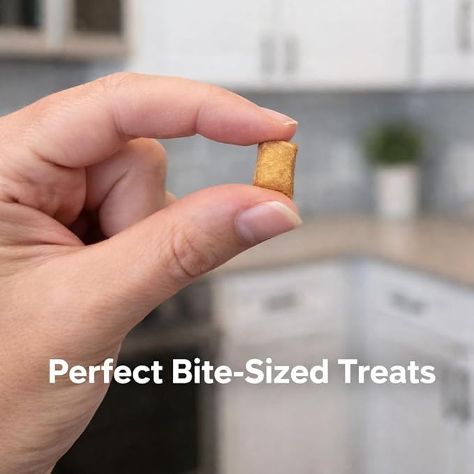 Chicken Cat Treats Crunchy Soft Filled Bites - Healthy Training Treats Indoor Cats Kittens Senior - Low Calorie Cat Snacks Food Topper No Artificial Flavors Wheat Soy Free All Breeds Made in USA 16oz