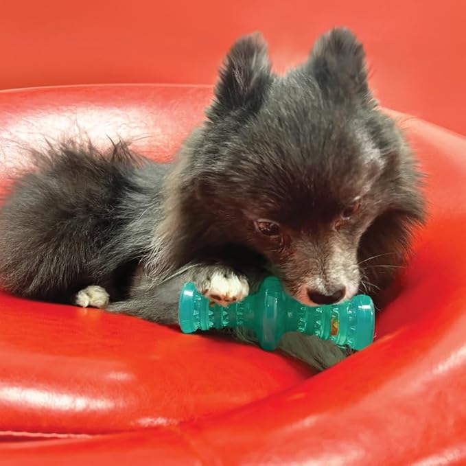 KONG Squeezz Dental Roller Stick - Cleans Dogs Teeth While Chewing - Flexible Material - Small