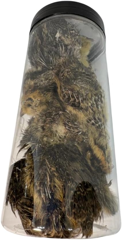 Undique Bird Dog Training Quail - Premium Freeze-Dried Whole Quail for Dogs 5ct, Large (Chick) - Natural Prey Feeding Quality Protein Pet Treats with Essential Nutrients and Enzymes