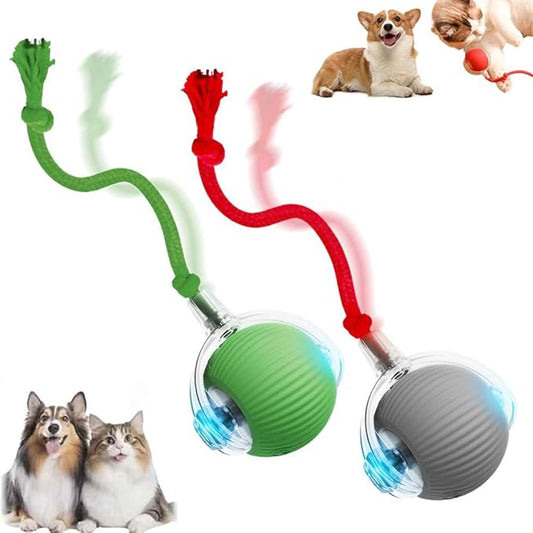 Interactive Cat Toy, 2026 New Cat Toy for Indoor Cats, Intelligent Rolling Ball Toys, Kitten Toys for Bored Indoor Cats/Dogs (Green+Grey)
