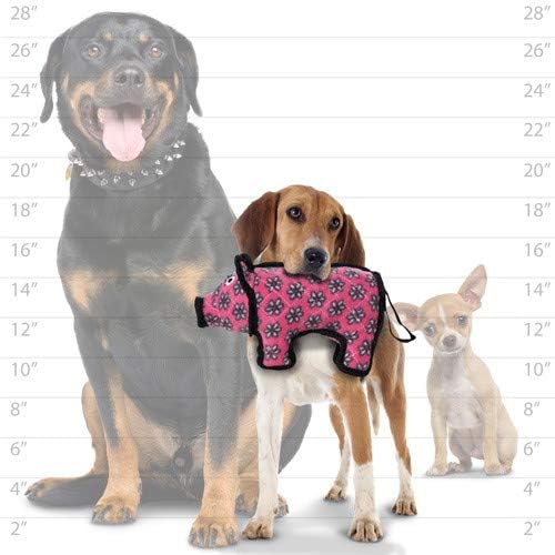 TUFFY - World's Tuffest Soft Dog Toy -Barnyard- Multiple Layers. Made Durable, Strong & Tough. Interactive Play (Tug, Toss & Fetch). Machine Washable & Floats. (Pig, Jr 2 Pack)