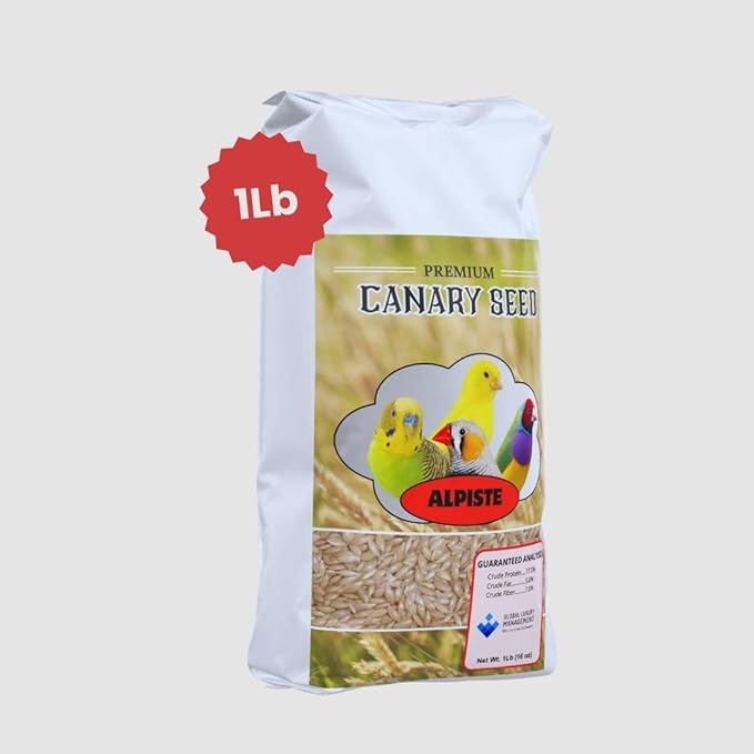 Alpiste Canary Seed 1Lb Bag – Natural Bird Food for Canaries and Small Birds, Finch Food Supports Breeding Growth Digestion Healthy Plumage Bone Strength & Eggshell Formation