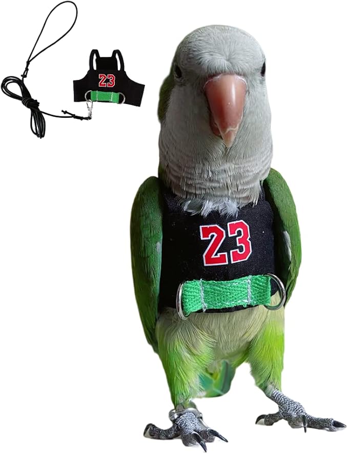 Bird Flight Harness Vest, Parrot Flight Suit with Leash, Bird Flying Clothes with Rope and Handle for Outdoor Activities (Without Leash,Cockatiel) (4XL, Without Rope)
