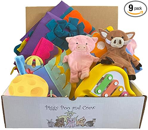 Pet Box Bundle: Assorted Toys for Dogs, Pigs, Rabbits, Cats, & Small Pets - Variety Pack with Treat Balls, Snuffle Mats, Games, & Toys (Blue Peanut Butter Stick Combo with a Yellow Ball)