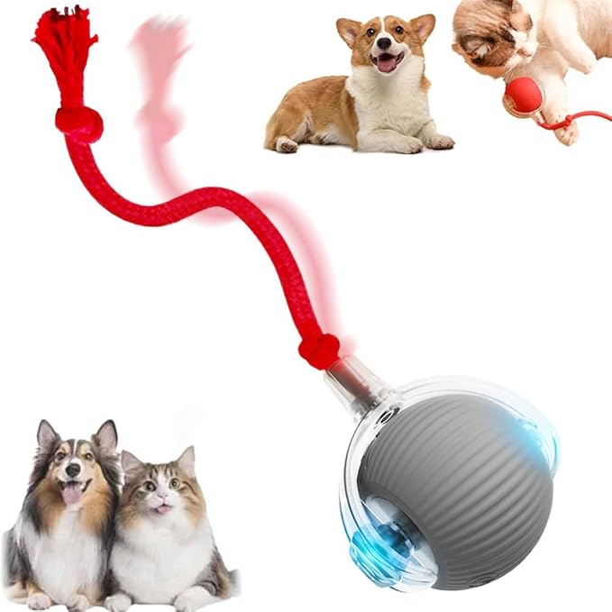 Interactive Cat Toy, 2026 New Cat Toy for Indoor Cats, Intelligent Rolling Ball Toys, Kitten Toys for Bored Indoor Cats/Dogs (Grey)
