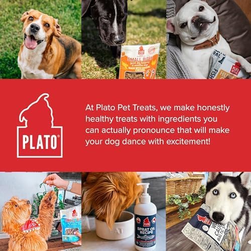 PLATO Pet Treats Thinkers - Meat Stick Treats for Dogs - Limited Ingredient Dog Treats with EPA and DHA to Support Skin, Coat, and Brain - Air-Dried Dog Treats - Thinkers Chicken 18oz - 2 Pack