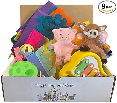 Piggy Poo and Crew Pig Box - Pet Box - Bundle of Toys Gift Box