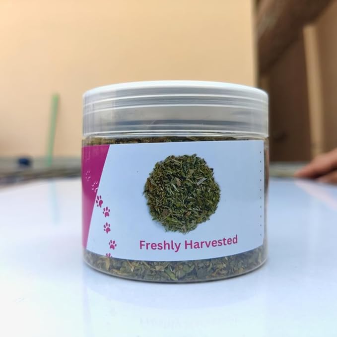 100% Natural Catnip for Cats & Kittens Premium Organic Blend to Energize and Excite Cats, Safe for Cat Play, Training, Refillable Catnip Toys, Cat Tree and Cat Bed (1/2 Cup)
