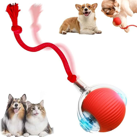 Interactive Cat Toy, 2026 New Cat Toy for Indoor Cats, Intelligent Rolling Ball Toys, Kitten Toys for Bored Indoor Cats/Dogs (Red)
