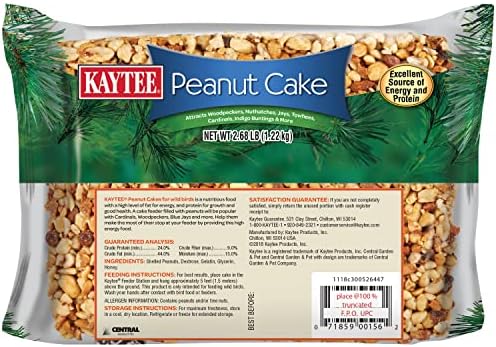 Kaytee Wild Bird Peanut Cake, 2.68 lb