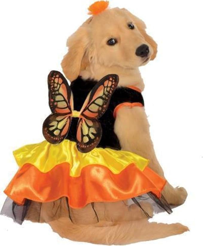 Rubies Monarch Butterfly Pet Costume for Dogs or Cats, Large