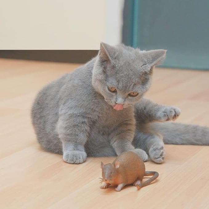 Realistic Cat Mouse Toy Soft Silicone Chew Durable Cat Entertainment Mouse Interactive Catnip Toy 5.5 x 2 Inches