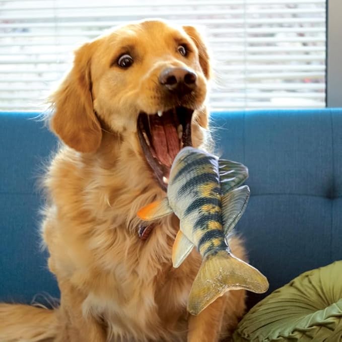 KONG Wild Shield Fish Shaped Dog Toy for Medium Breeds (Perch)