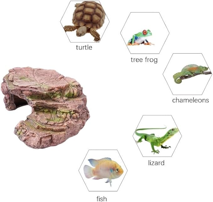 BIGWE Turtle Basking Platform for Aquarium Fish Tank,Designed for Aquatic Pets Such as Turtles, Reptiles, and Tortoises,Brown Small