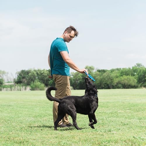 Chuckit! Whistle Flight Outdoor Dog Fetch Toy, Orange/Blue, 10.6" x 1.2" x 11.1", For Medium to Large Dogs