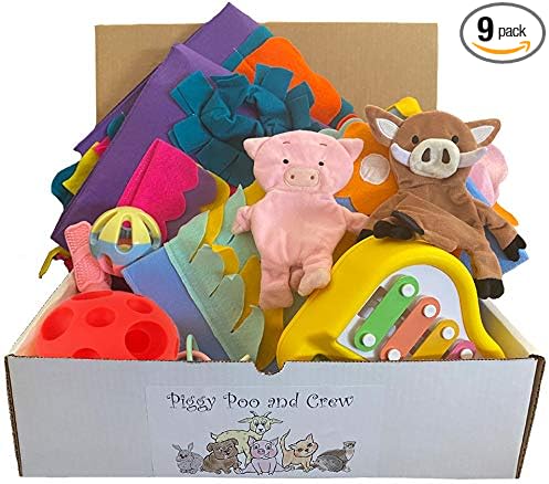 Piggy Poo and Crew Pig Box - Pet Box - Bundle of Toys Gift Box for Dogs, Pigs, Rabbits, & Small Pets