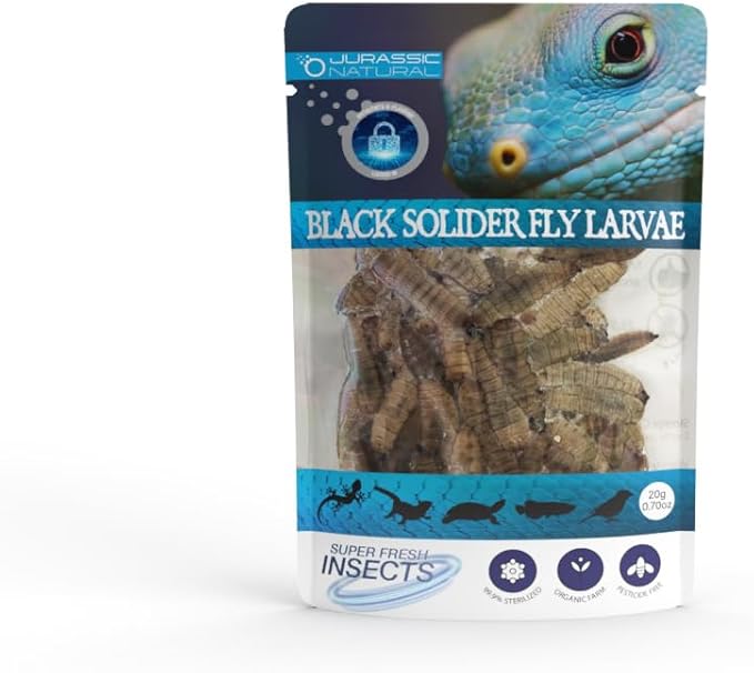 Jurassic Natural Black Soldier Fly Larvae Single Pack 0.70oz