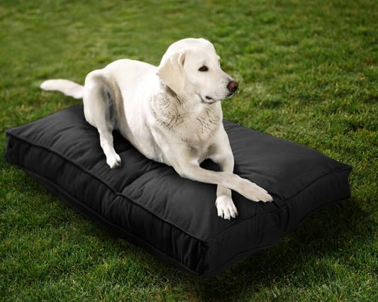 Sunbrella Double-Sided Dog Bed for Indoor/Outdoor Use, Easy Clean & Machine Washable Cover, Chew-Proof, Multipurpose Pet Mat for Dogs & Cats, Large (40”x30”x 4”), Polyester, Black