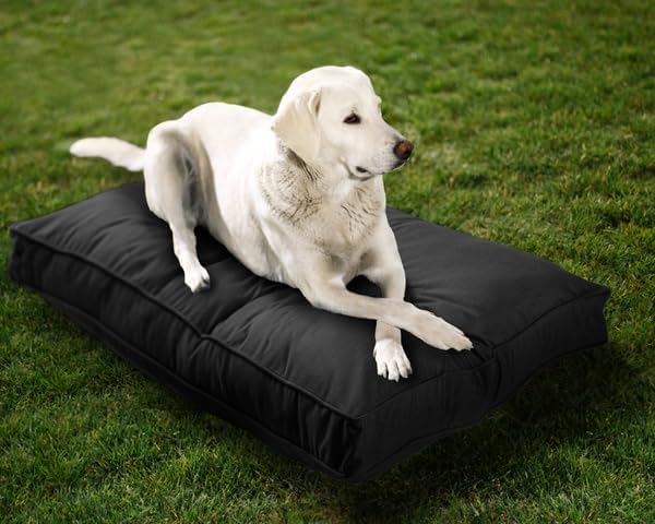 Sunbrella Double-Sided Dog Bed for Indoor/Outdoor Use, Easy Clean & Machine Washable Cover, Chew-Proof, Multipurpose Pet Mat for Dogs & Cats, Medium (36”x26”x 3"), Polyester, Black