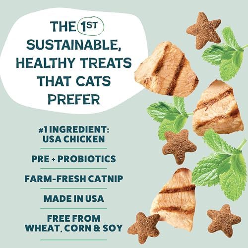 Shameless Pets Crunchy Cat Snacks & Treats – Healthy Cat Treats for Indoor Cats & Kittens with Catnip, Real Chicken & Digestive Support, Catnip N Chill (2.5 oz)