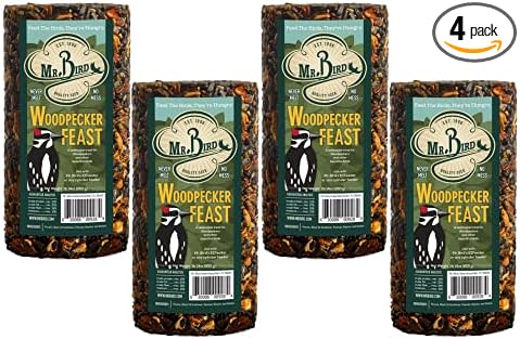 4-Pack Mr. Bird Woodpecker Feast Small Cylinder | Wild Bird Food for Outdoor Birds | Backyard Birdfeeding