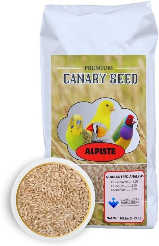 Alpiste Canary Seed 10Lb Bag – Natural Bird Food for Canaries and Small Birds, Finch Food Supports Breeding Growth Digestion Healthy Plumage Bone Strength & Eggshell Formation