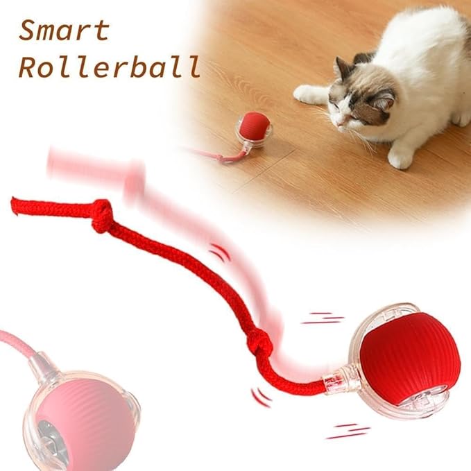 Chewie Viral Rolling Ball for Cats Dogs, Rechargeable Interactive Cat Dog Toys, Active Rolling Ball Cat Toy for Puppy Small Medium Large Dogs, 360° Smart Automatic Rolling Pet Ball