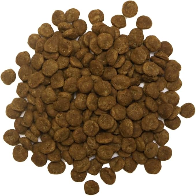 Turkey & Brown Rice Recipe Dry Dog Food