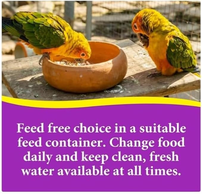 3~D Pet Products Premium Cockatiel Mix Bird Food Seeds, with Probiotics ~ 9 Lb Bag ~ 1 Pack.