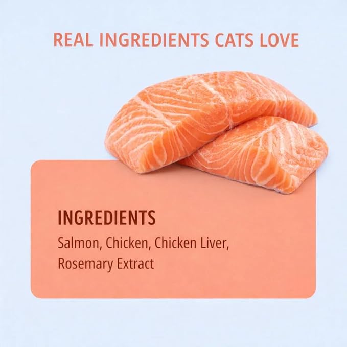 Freeze Dried Cat Treats Salmon Lollipops 4 Pops - High Protein Lickable Salmon Treats on Stick for Training Bonding - Cat Snacks No Artificial Flavors Preservatives for Kittens Cats All Ages