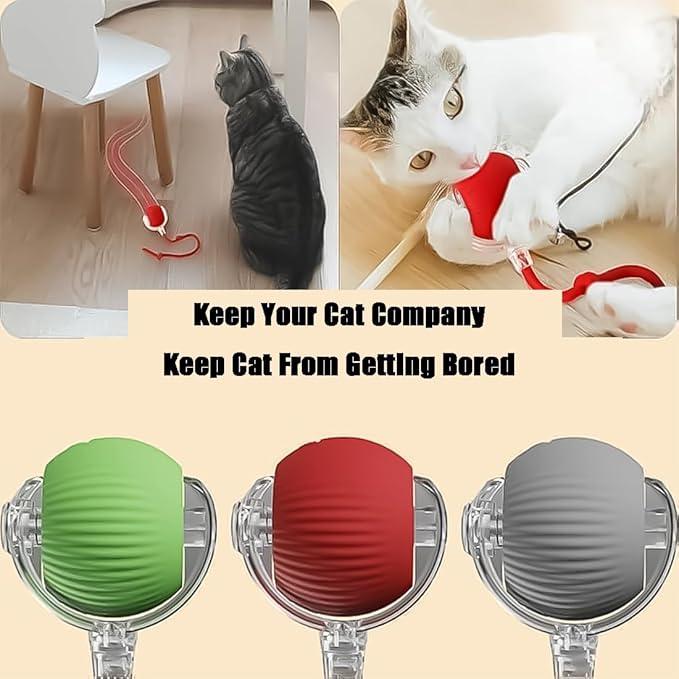 2026 New Generation Interactive Cat Toys Indoor, 360° Smart Automatic Cat Ball Three Modes with Long-Lasting Durability, for All Cats & Dogs (Green, Wake D)