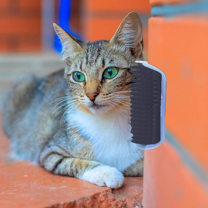 Hub's Gadget 2 Pack Cat Self Groomer, Wall Corner Massage Comb Grooming Brush, Black
