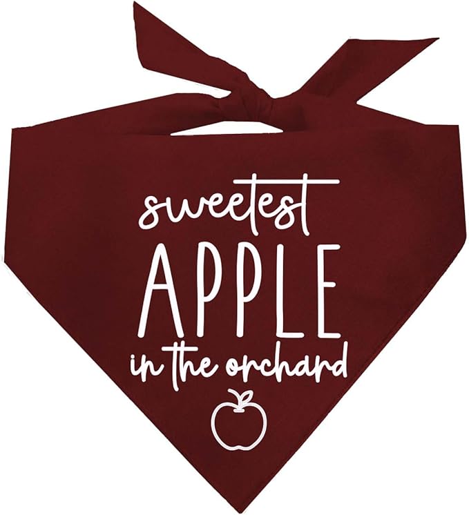Sweetest Apple in The Orchard Dog Bandana | 100% Cotton Adjustable Triangle | Made in USA | Fall Harvest | Autumn Vibes | Farm |Dark Red, One Size (1121)
