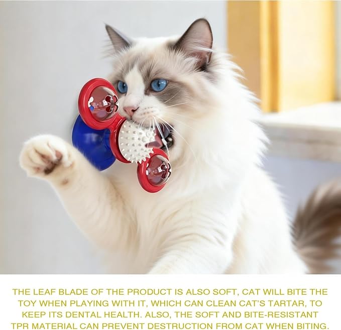 Interactive Cat Toys & Treat Dispenser with Catnip Ball - Chew, Scratch, Rub & Teeth Grooming Toys for Indoor Cats, BPA-Free, Sturdy TPR (Aqua)