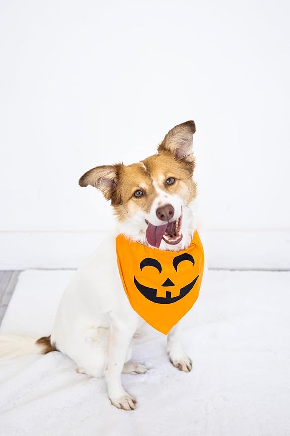 Pearhead Pumpkin Dog Bandana, Fall Pet Scarf for Halloween Costume, Slip-On Collar Accessory for Medium Large Pets, Autumn Puppy Outfit, Orange Seasonal Apparel