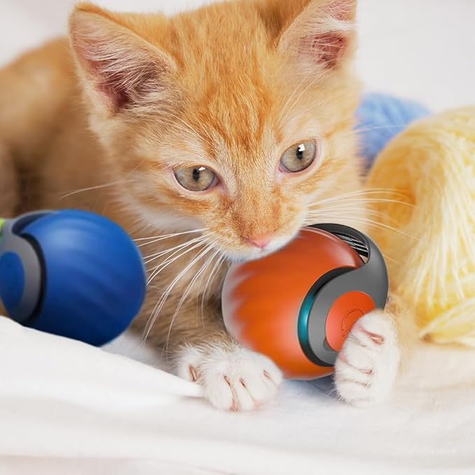 Interactive Cat Toys Ball, 2026 New Automatic Moving Balls for Cat Small Dog Touch Motion, Self Rolling Cat Toy Ball Interactive Dog Toys for Indoor and Outdoor (Orange)
