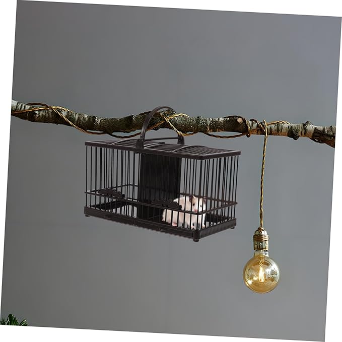 BESPORTBLE Hanging Plastic Pet Habitat Cage for Crickets Grasshoppers Hamsters Hummingbirds Lightweight Easy to Enclosure for Small Animals Vintage Decorative Design