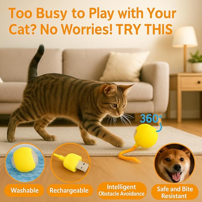 Automatic Cat Toy Ball – Rechargeable Cat Ball with Feather & Ribbon Tail – Light-Up Effects – Smart Rolling Indoor Cat Toys – Dual Speeds – Interactive Cat Toys for Kittens