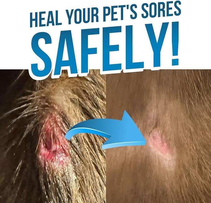 Pet+ Wound Care Promote Skin Healing and Repair for Common concerns Such as cuts, scrapes, and sores with hypochlorous Wound Care.