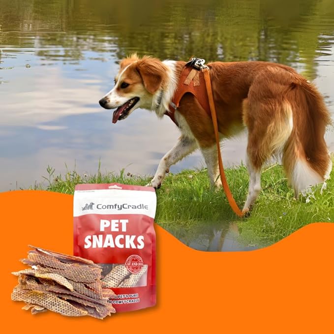 Air-Dried Duck Jerky Dog Treats, Novel Protein & Grain-Free Tender Snacks, All Natural Single Ingredient Training Reward for Sensitive Dogs, 5.29 Ounce (3 Pack x 5.29 Ounce,Chicken)