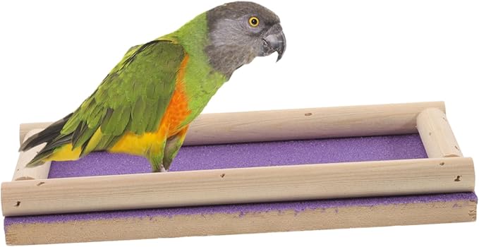 GANAZONO Parrot Hamster Wooden Platform Bird Climbing Perch Safe Wooden Toy Parakeet Accessory Bird Cage Stand Natural Material