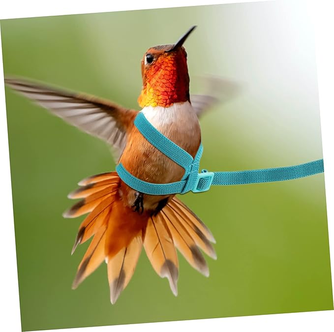 balacoo 2pcs Portable Parrot Wear-Resistant Bird Leash for Outdoor Flying and Training for Parrots Parakeets Chickens Bird Accessory for Safe Adventures