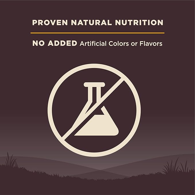 Wellness CORE Puppy Dry Dog Food, Grain Free Kibble, Natural, High Protein, Chicken and Turkey Recipe, 4 lb Bag